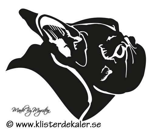 Bulldog 1