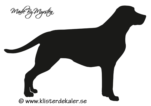 Labrador dekal