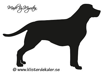 Labrador dekal