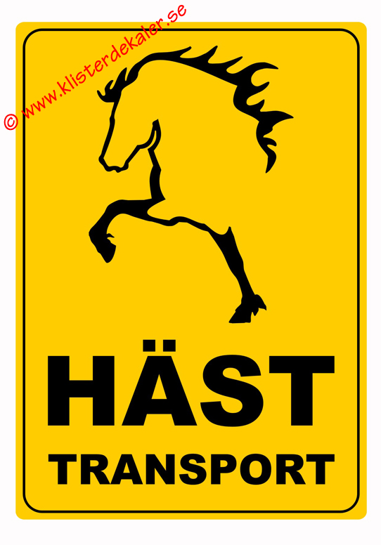 Transport decal A3 Icelandic horse