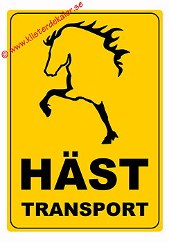 Transport decal A3 Icelandic horse
