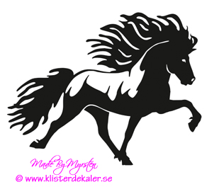 Single Icelandic horse 28