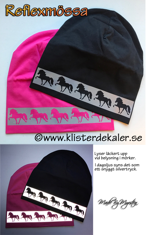 Hat reflective Icelandic horses