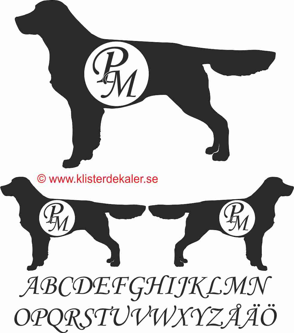 Golden Retriever, med dina egna initialer. Bildekal - 2