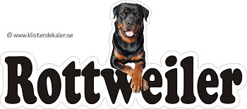 99041 Rottweiler Bildekal