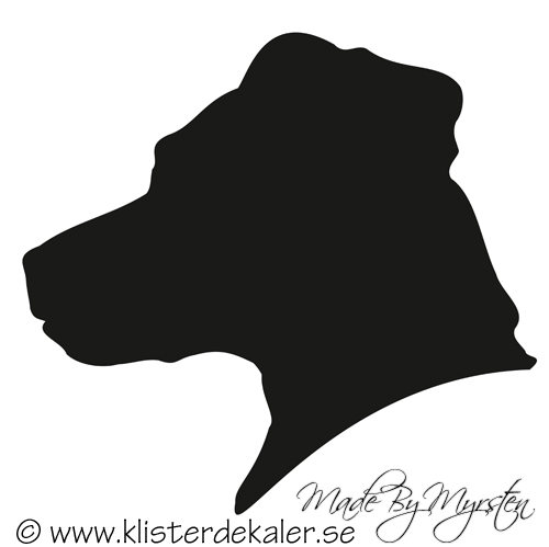 Jack Russell Terrier hed profile