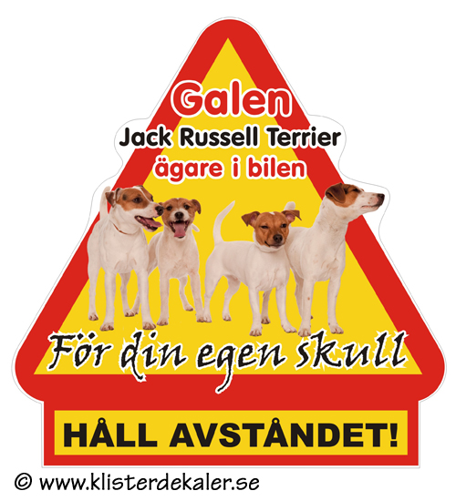 Varningstriangel Galen Jack Russell Terrier ägare i bilen