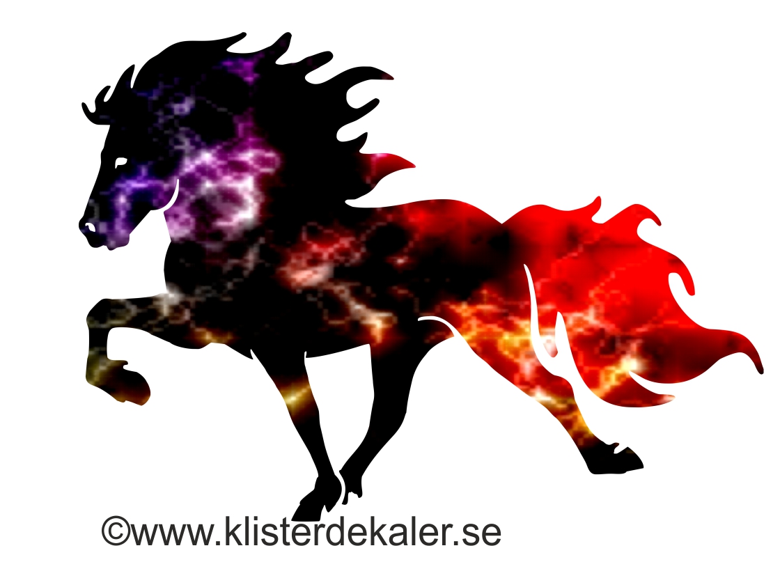 Enkel Islandshäst Fire and Ice