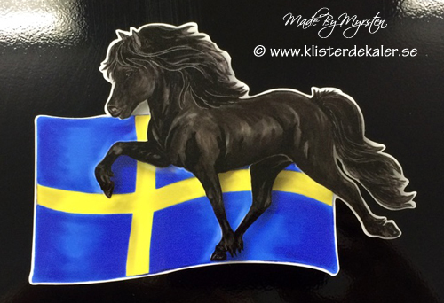 Islandshäst med Svenska flaggan, bildekor - 4
