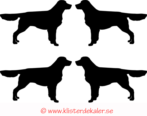 Miniatyrer 4-pack Golden retriever
