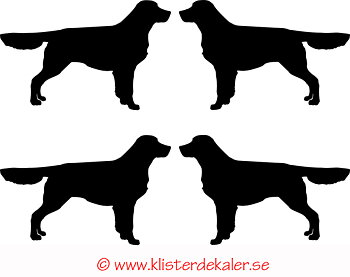 Miniatyrer 4-pack Golden retriever