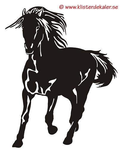 Horse 4