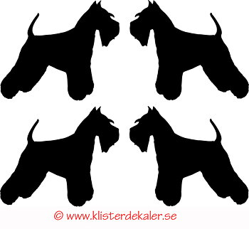 Miniatyrer 4-pack Schnauzer