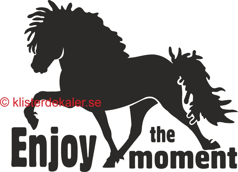 Icelandic horse Enjoy