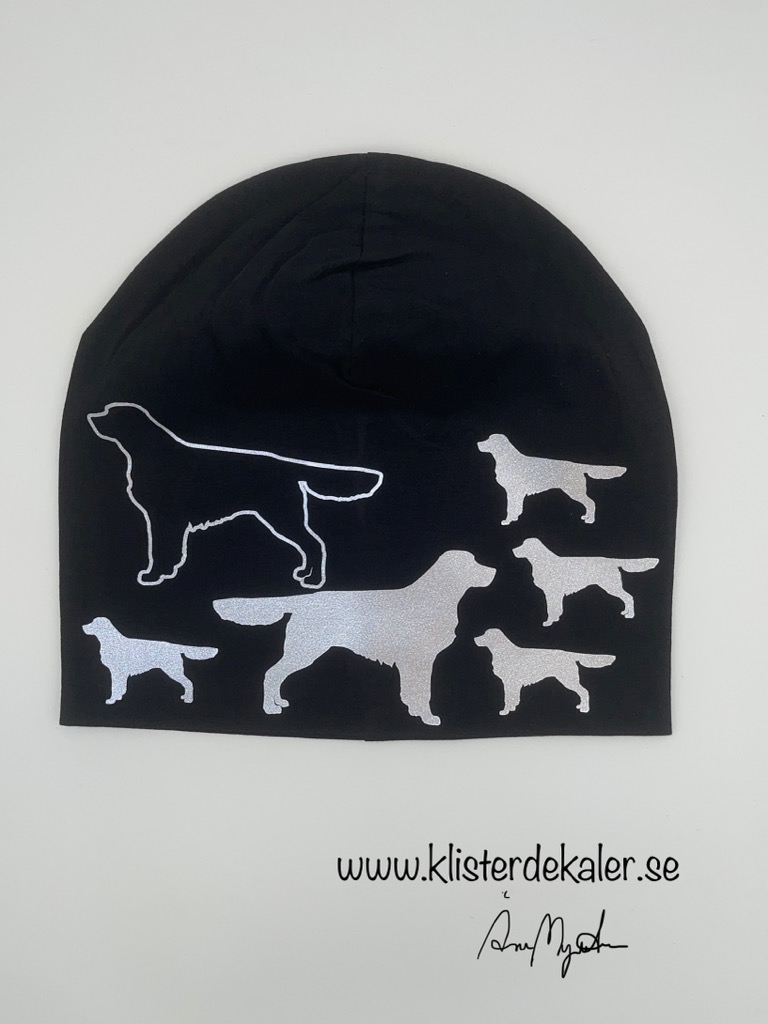 Hat Golden Retriever  - 3