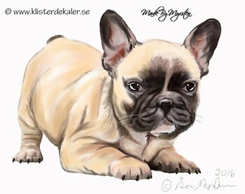 Billdog, sticker