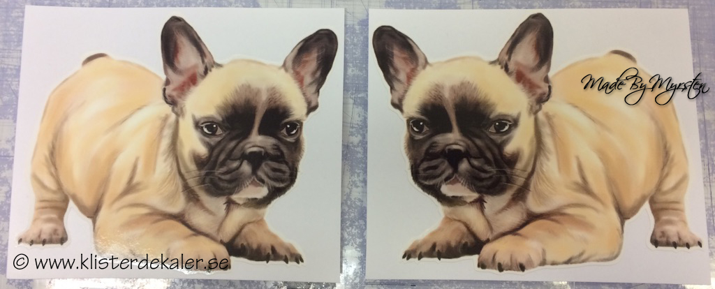 Billdog, sticker - 2