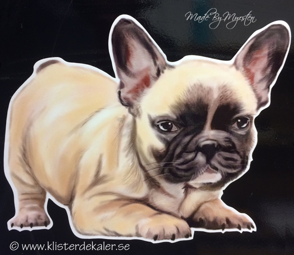 Billdog, sticker - 3