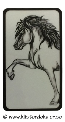 Reflective Decal with Tolt spirit Icelandic.