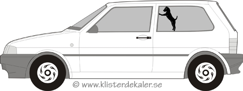 Jack Russell Terrier standing - 3