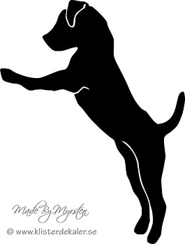 Jack Russell Terrier stående