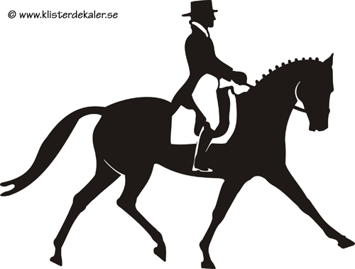 dressage single