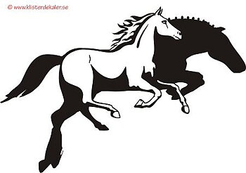 Hopp och galopp
