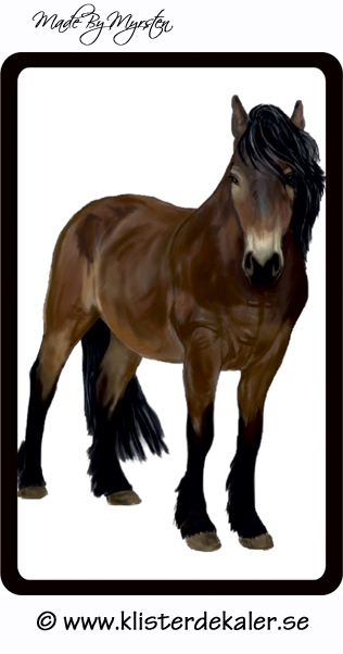 Reflective Decal Horse