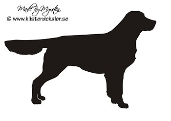 Golden Retriever, Bildekal profil nr 1 