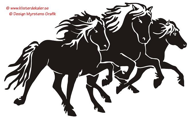 Trippel Tölt, pass, galopp