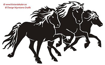 Trippel Tölt, pass, galopp