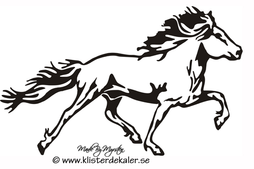 Single Icelandic horse 31
