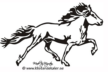 Enkel Islandshäst 31