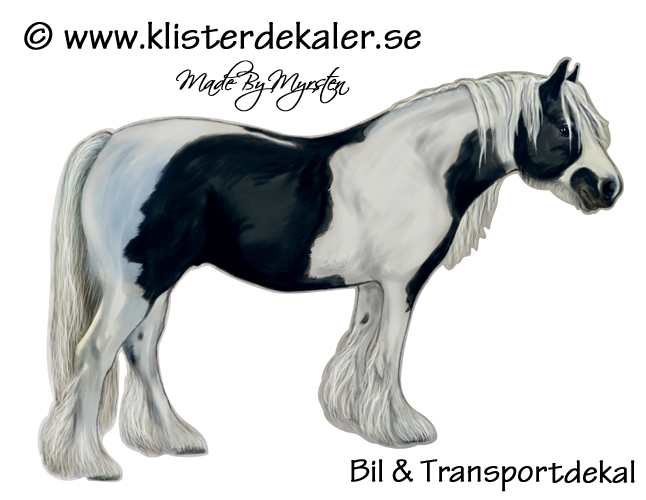 Irish cob - Tinker. Bil & transportdekal