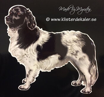 Stabijhoun hund, bildekor