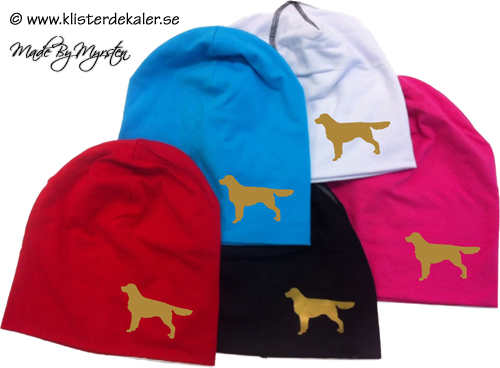 Hat, Golden retriever 