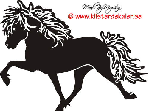 Icelandic horse 8