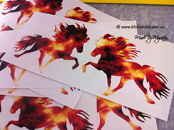 Double Fire Icelandic horses
