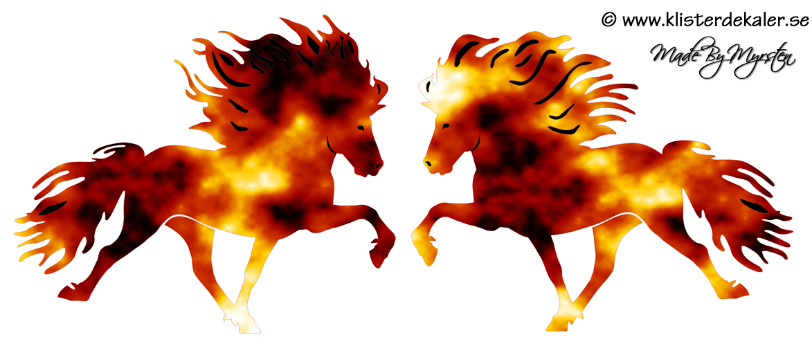 Double Fire Icelandic horses - 2