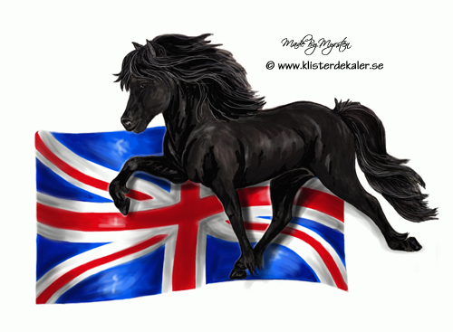 Icelandic horse England flag