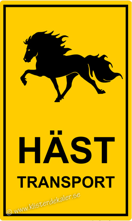 Transportdekal 30x50 Islandshäst 