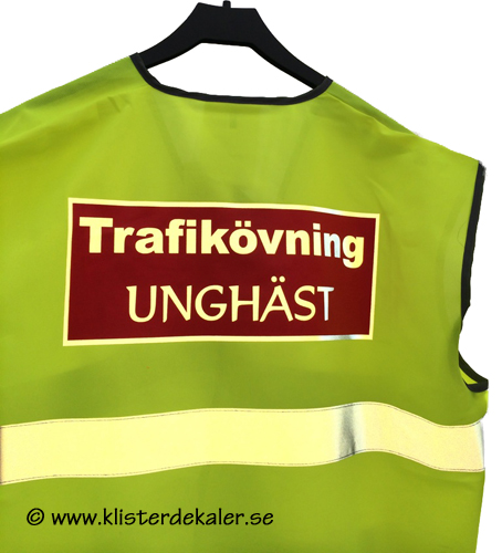 Reflective vest
