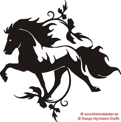 Single Icelandic horse 24