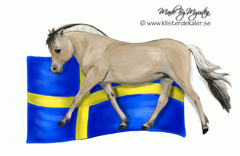 Fjording Swedish flag