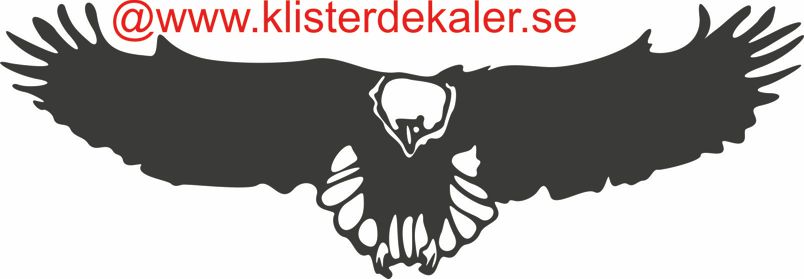 Decals - Eagle 3