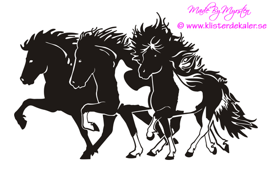 Triple Icelandic horse 1