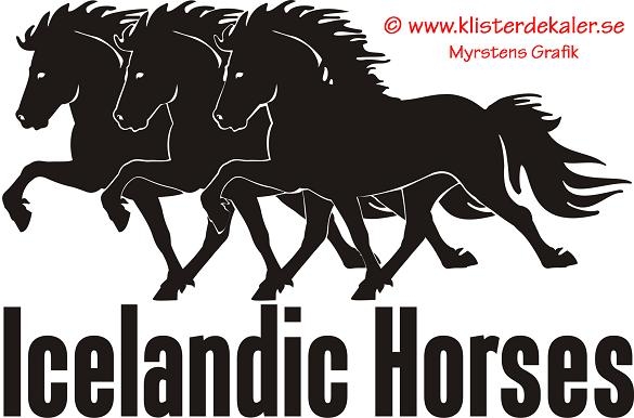 Triple Icelandic horse 4