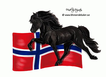 Islandshäst med Norges flagga, bildekor