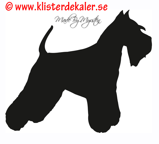 Schnauzer profile