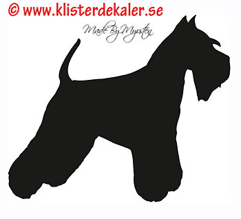 Schnauzer profil
